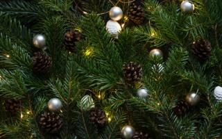 Как украсить новогоднюю елку (40 фото): необычное и традиционное оформление Украшение елки шарами двух цветов